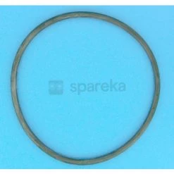 Joint De Couvercle Préfiltre Pompe Ultraflow R39300600